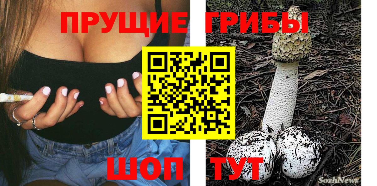 Чернушка  Галлюциногенные грибы Psilocybe  Вход с VPN 